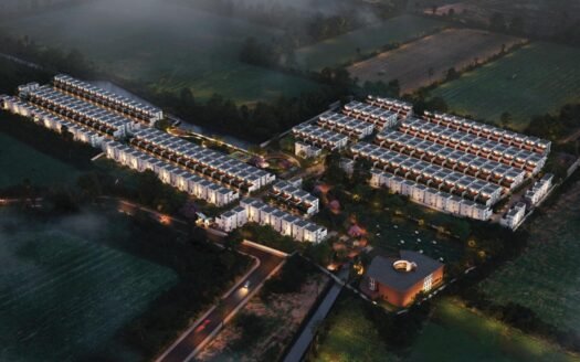 The Berries For Birds New Whitefield